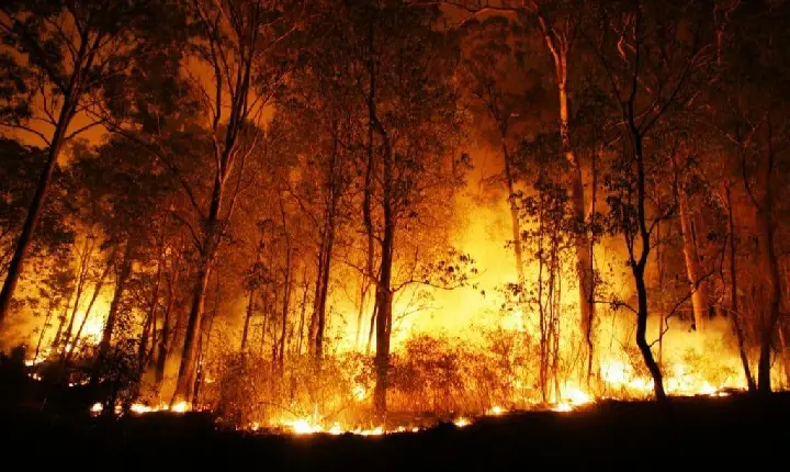 La Niña: incêndios ambientais vão piorar no Paraná, avisam bombeiros