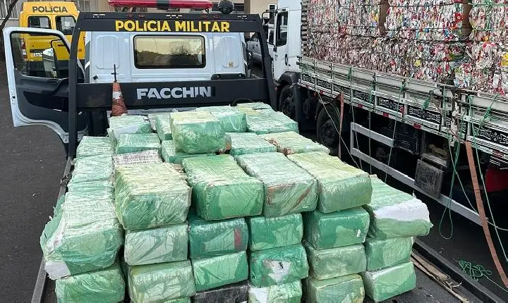 Polícia Militar apreende 3 toneladas de maconha, em Beltrão