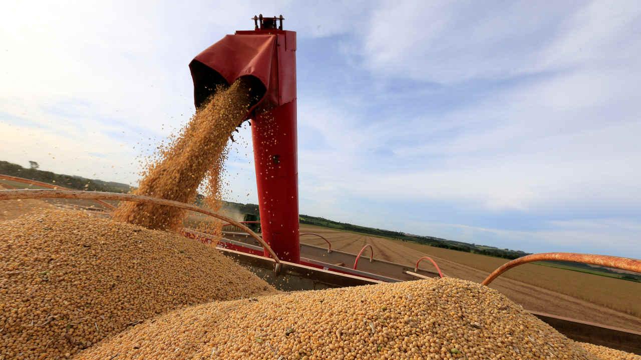 Cargill vê 2º semestre movimentado na exportação de grãos do Brasil após lucro recorde