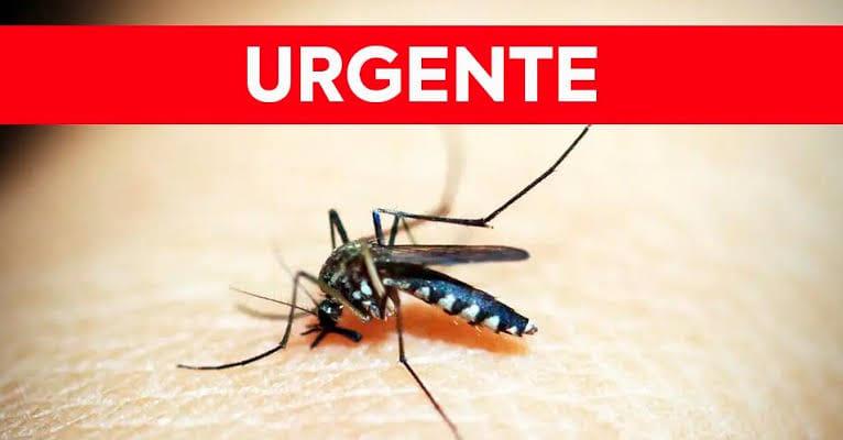 Terceiro óbito por Dengue registrado no município: Homem de 75 anos falece de complicações