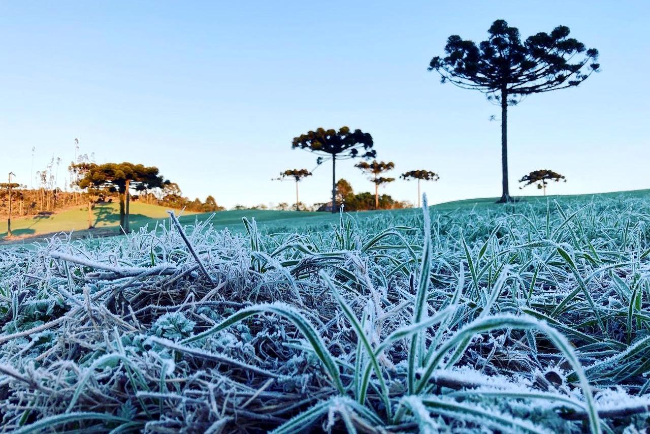 Inverno começa na quinta-feira; confira como será a estação no Paraná