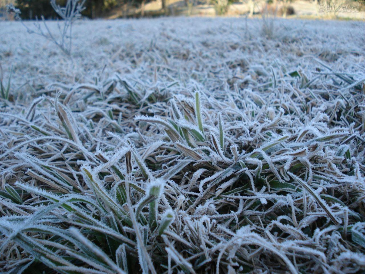 Paraná tem dois alertas para onda de frio com temperaturas 5ºC abaixo da média. Veja a previsão