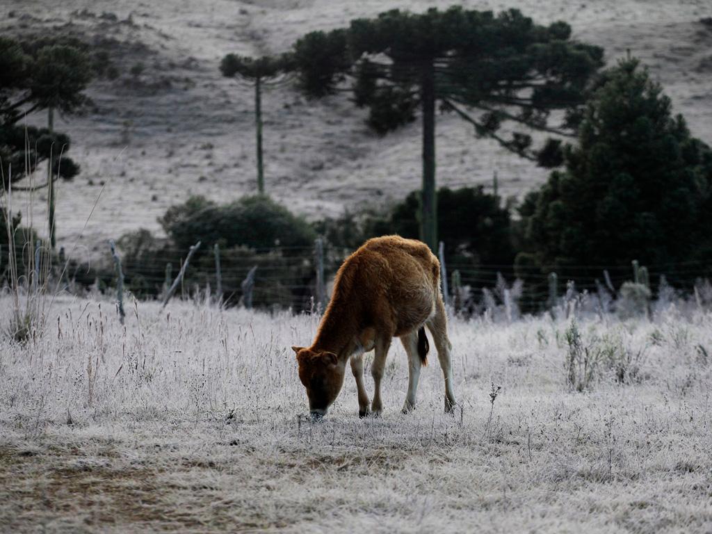 Após final de semana de chuva, São Jorge D'Oeste terá semana de frio. Confira a previsão do tempo