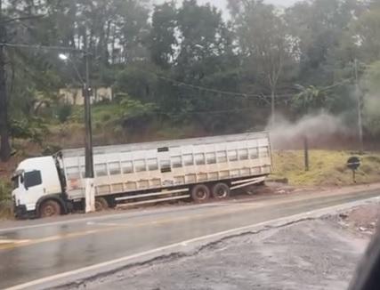 Caminhão carregado com suínos fica sem freios e motorista joga veículo contra barranco na PR-182