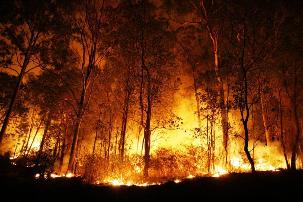 La Niña: incêndios ambientais vão piorar no Paraná, avisam bombeiros