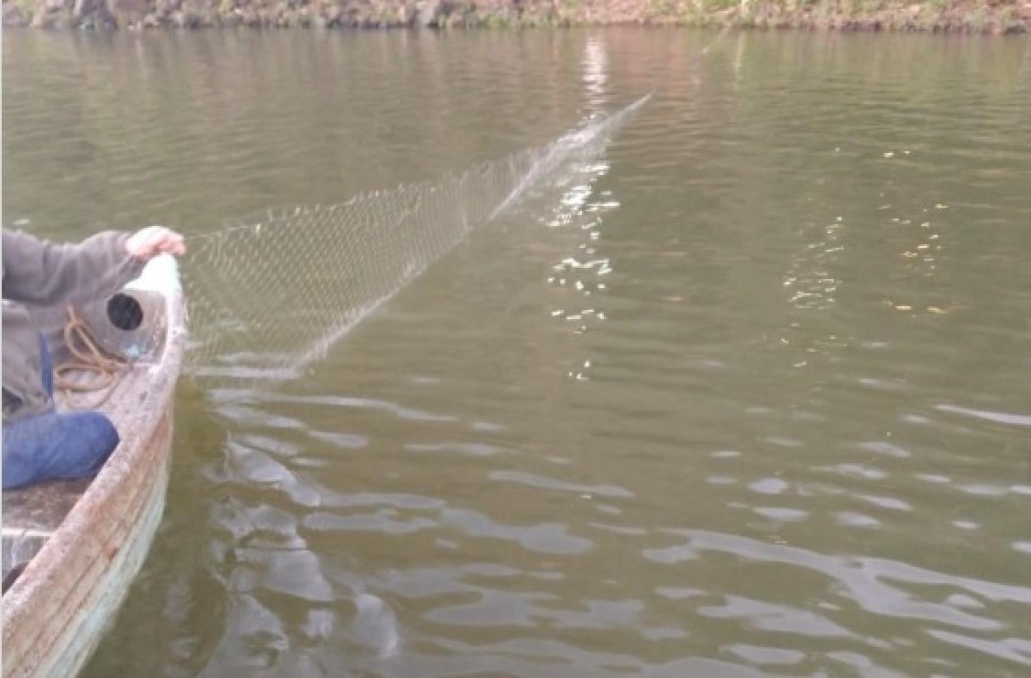 Polícia Ambiental realiza prisão em flagrante de pescadores no Alagado do Iguaçu