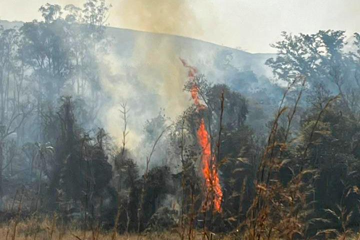 Com volta do calor, Bombeiros reforçam alerta de combate aos incêndios florestais