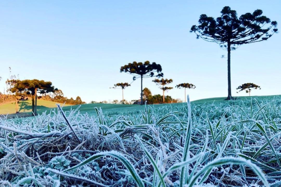 IDR-Paraná e Simepar encerram serviço Alerta Geada 2024 com 120 boletins emitidos