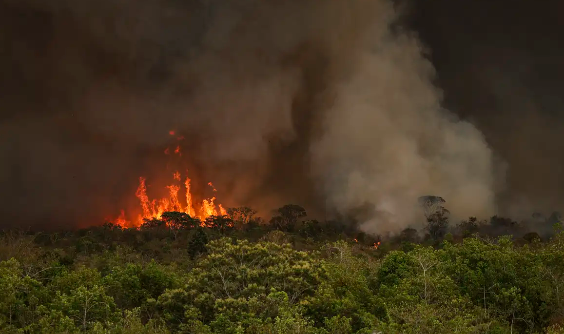 Incêndios podem ter afetado mais de 11 milhões de pessoas no Brasil