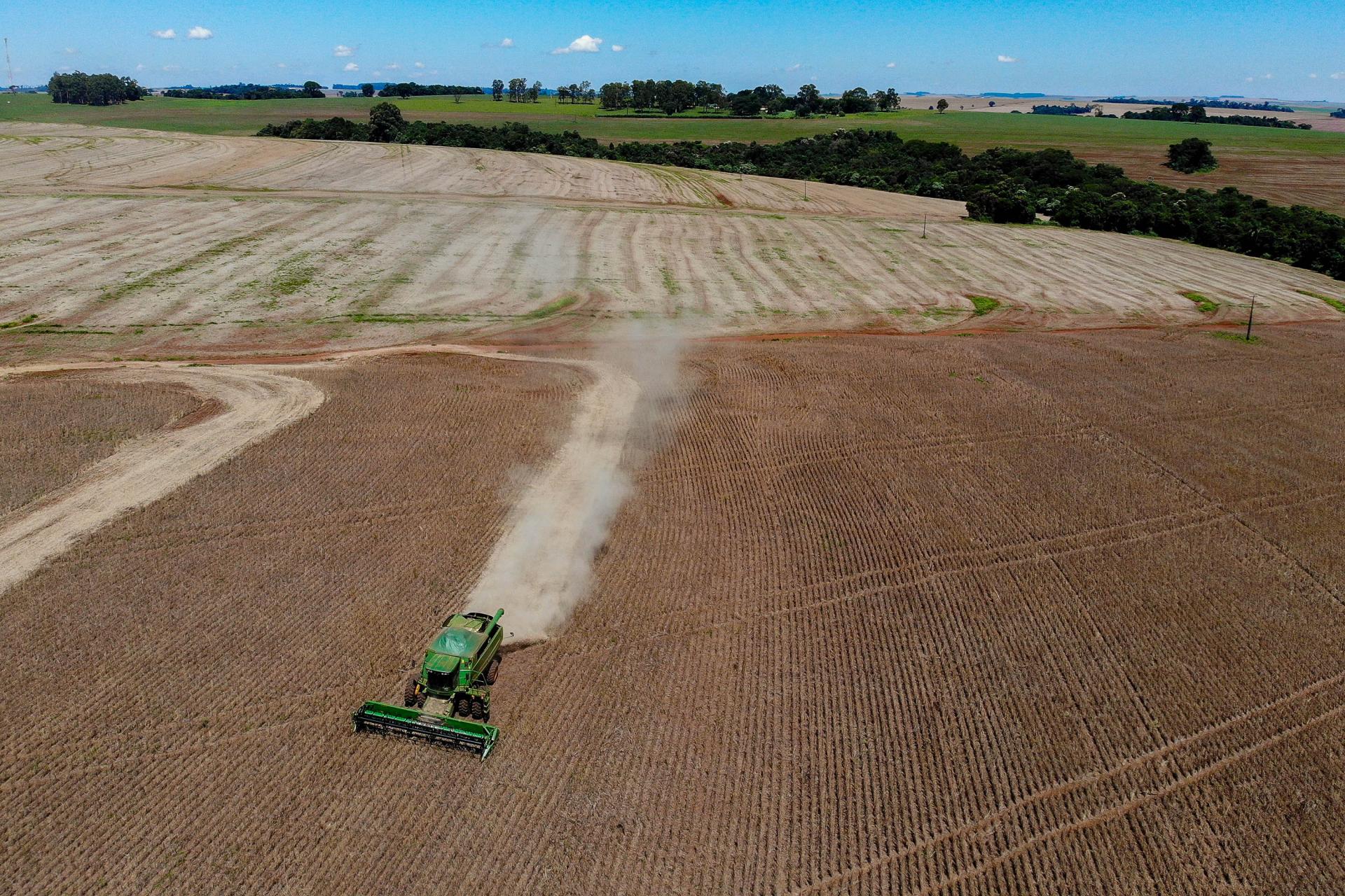 Paraná tem participação fundamental para aumento da safra de feijão no País