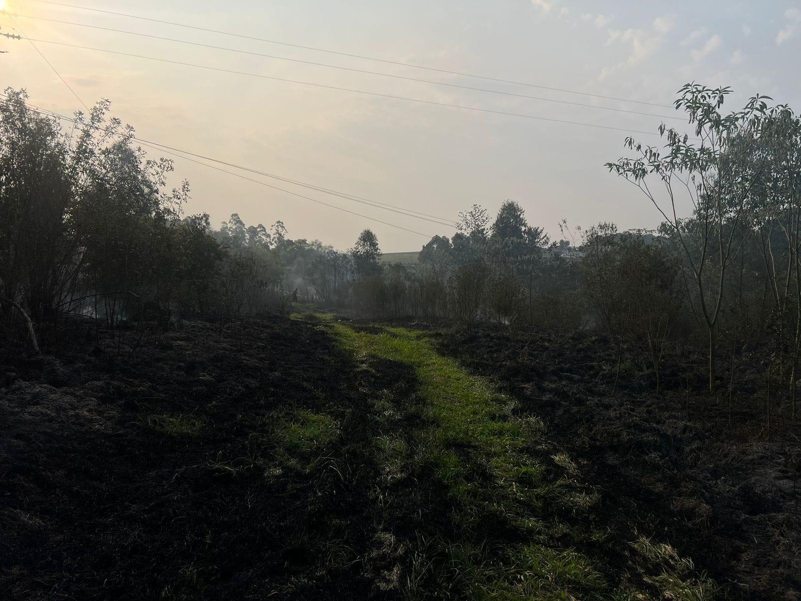 Posto do Bombeiro Comunitário de São Jorge D'Oeste atende ocorrências de incêndios e resgate de animal nesta Quarta-Feira (25)